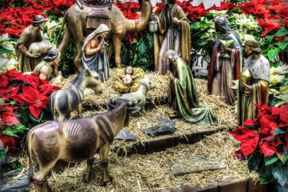 nativity, manger, christmas-596934.jpg